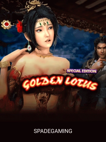 Video slot game cover with bonus features